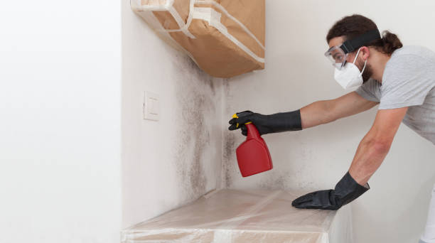 Attic Mold Remediation treatment on roof deck in Mohrsville
